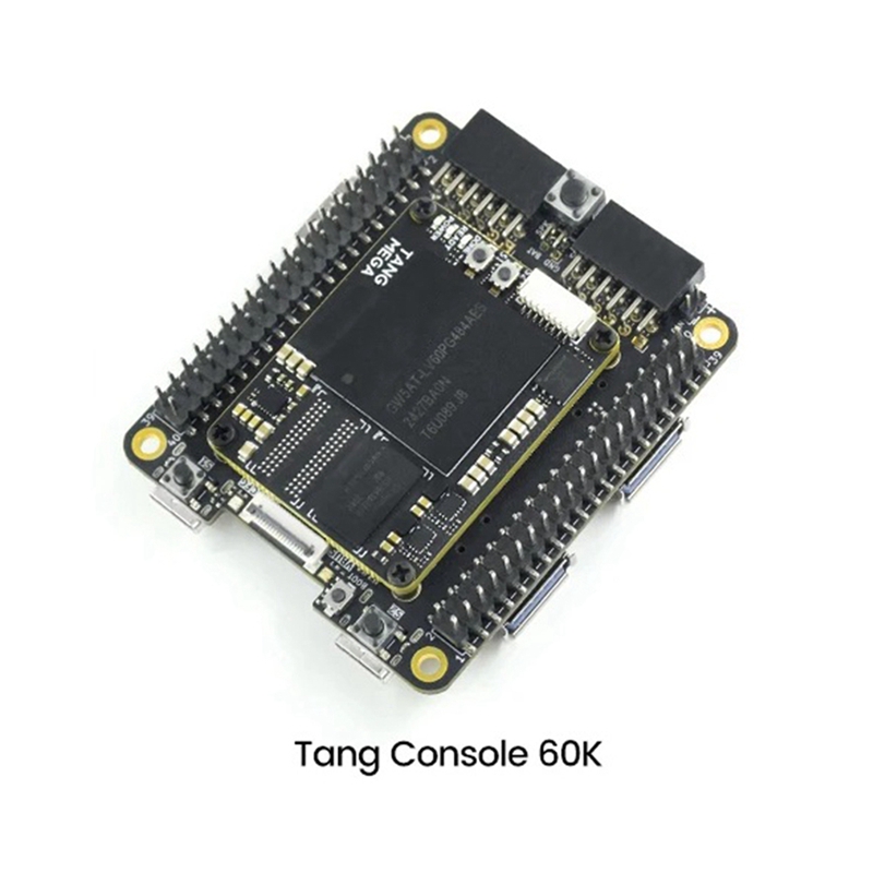 For Tang Console 60K Mini FPGA - đánh giá và giá Perfboard